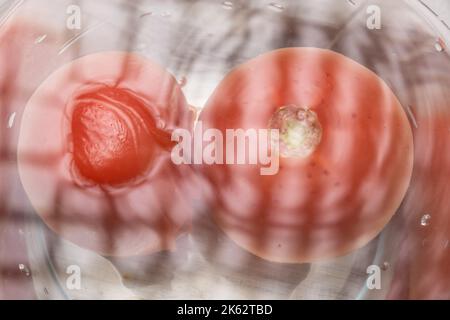 Éplucher les tomates dans de l'eau bouillante. Tomates dans un bol imbibé d'eau chaude. Banque D'Images