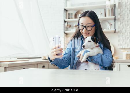 Jeune femme asiatique avec prise pour animaux russell terrier parlant en appel vidéo avec des amis, femme à la maison dans la cuisine utilisant un smartphone pour la communication à distance. Banque D'Images