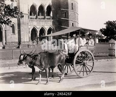 Chariot tiré par oxen, gharry ou gharrie, Inde. Photographie vintage du 19th siècle Banque D'Images