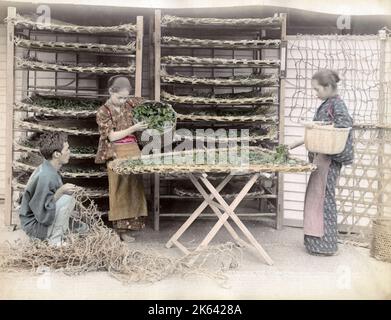 C.1880 s Japon - travailler avec des vers à soie Banque D'Images