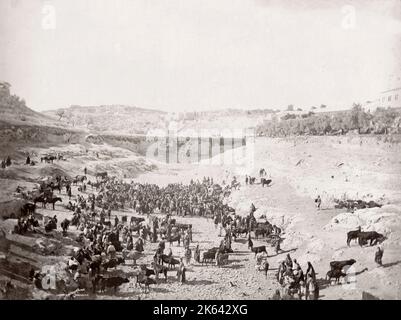 Marché au bétail, bassin de Guihon, (Siloé) Jérusalem Palestine Israël - c.1900 Banque D'Images