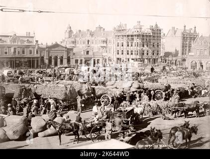 Marché du matin, Johannesburg, Afrique du Sud, vers 1900 Banque D'Images