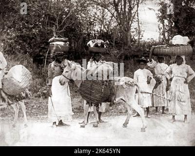 c.1900 Antilles - les femmes et les ânes en route vers le marché Banque D'Images