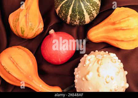 Plusieurs citrouilles sur fond textile marron. Récolte d'automne. Concept de Thanksgiving Banque D'Images