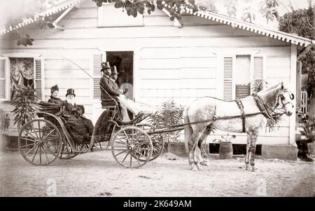 Couple blanc noir avec des cochers en buggy tiré par des chevaux, de la Jamaïque, c.1890 Banque D'Images