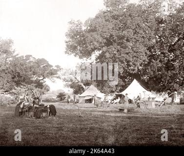 Série de chasse aux tigres du colonel Willoughby Wallace Hooper, 1837-1912, photographié les années 1870. L'une des 10 images répertoriées. Banque D'Images