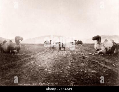 Vintage Photo 19e siècle Chine c.1880 s - animaux en pierre sur l'avenue avec les tombeaux Ming près de Pékin Beijing Banque D'Images