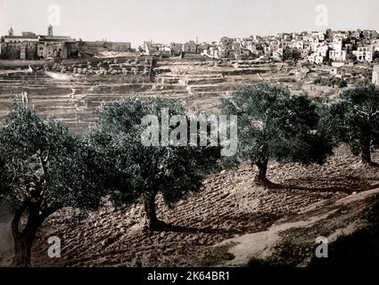 C.1890s Terre Sainte Israël Palestine - photochrome vue de la ville de Bethléem Banque D'Images