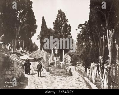 Photographie vintage du 19e siècle : Turquie, Constantinople, Istanbul - le cimetière Eyop, alias Eyop Sultan Cemetery, est un cimetière historique situé dans le quartier Eyop, du côté européen d'Istanbul, en Turquie. Banque D'Images