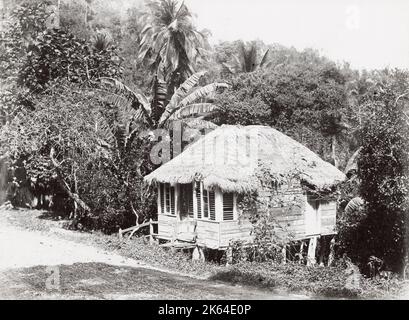 Photo de la fin du XIXe siècle : petite maison de chaume sur le Rio Cobre, Jamaïque, Antilles Banque D'Images