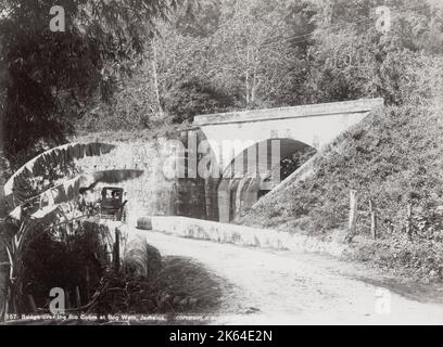 Photographie de la fin du XIXe siècle : pont sur la rivière Cobre, promenade de la tourbière, Jamaïque, Antilles Banque D'Images