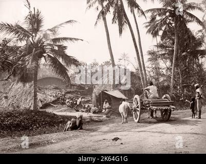 19e siècle vintage photo Inde - la vie du village au Bengale, Samuel Bourne, 1860. Banque D'Images