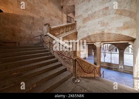 Université de Salamanque, construite au 18th siècle, Université de Salamanque, ville de Salamanque, Espagne, Europe. Banque D'Images