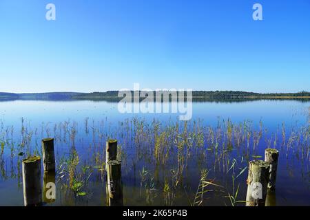 Priesterbäker See dans le parc national de Müritz. Plateau du lac de Mecklenburg. Mecklenburg Lakeland. Banque D'Images