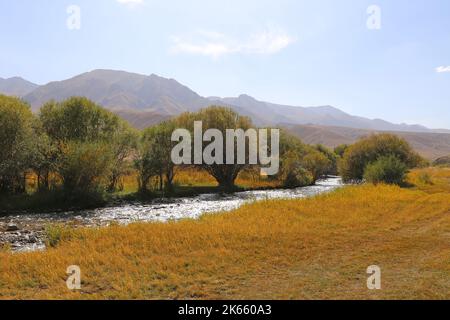 Rivière Kalmak Ashuu, Song Kul, montagnes Tien Shan, région de Naryn, Kirghizistan, Asie centrale Banque D'Images