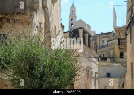 Vue sur la ville, Matera, province de Matera, Basilicate, Italie Banque D'Images