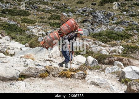 Shepa transportant une bouteille de gaz lourde au Népal sur l'Everest Way Banque D'Images