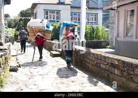 Sherpas, transportant une lourde charge sur l'Everest Way Népal Banque D'Images