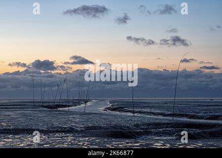 Coucher de soleil dans la Basse-Saxe Mer des Wadden au large de Dorum-Neufeld à marée basse, Allemagne Banque D'Images