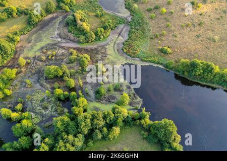 Hellmoor, zone humide, en basse eau en septembre 2022, Laemmerhof, Allemagne, Schleswig-Holstein, Herzogtum Lauenburg, Panten Banque D'Images