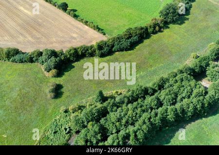 Projet de conservation des prairies à fosse en pierre à la forêt de Luebeck, herbage au début de l'automne après un été sec, vue aérienne, Allemagne, Schleswig-Holstein, Banque D'Images