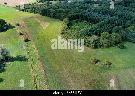 Projet de conservation des prairies à fosse en pierre à la forêt de Luebeck, herbage au début de l'automne après un été sec, vue aérienne, Allemagne, Schleswig-Holstein, Banque D'Images