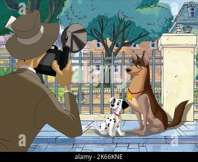 PATCH,THUNDERBOLT, 101 DALMATIENS II: L'AVENTURE DE PATCH À LONDRES, 2003 Banque D'Images