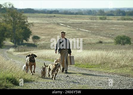 OSMENT, CHIENS, LIONS D'OCCASION, 2003 Banque D'Images