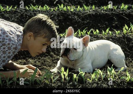 HALEY Joel Osment, chien, SECONDHAND LIONS, 2003 Banque D'Images