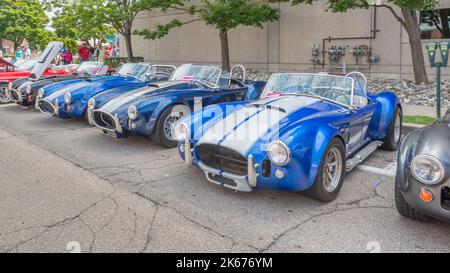 BIRMINGHAM, MI/USA - 16 AOÛT 2014 : quatre voitures Ford/Shelby AC Cobra, Woodward Dream Cruise. Banque D'Images
