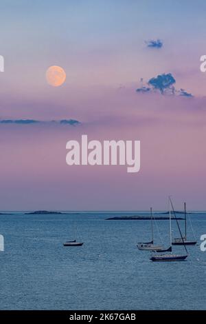 96 % de lune de chasseurs illuminés avec un ciel rose et lavande éclatant qui se lève au-dessus de la Manche Banque D'Images