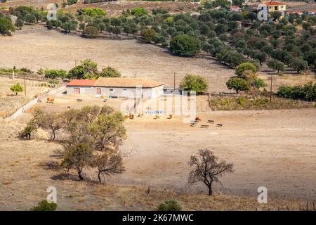 Petite ferme grecque à Molyvos sur l'île de Lesvos Grèce Banque D'Images