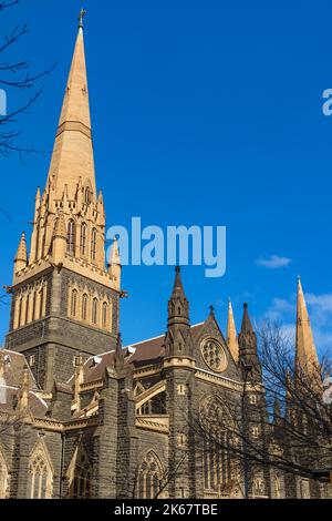 Cathédrale Saint-Patrick de Melbourne, Victoria, Australie. Banque D'Images