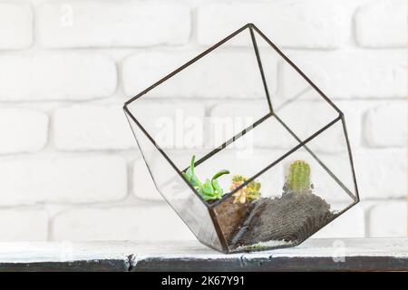 Maison des plantes dans des pots sur table blanche au mur de brique blanche avec des objets Banque D'Images