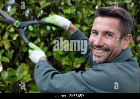 haie de taille de jardinier professionnelle Banque D'Images