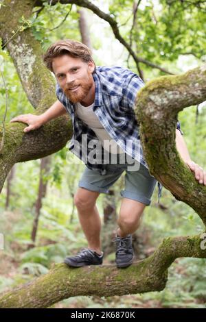 homme randonneur grimper branche en bois torsadé dans la forêt Banque D'Images