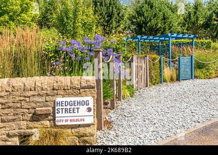 Hedgehog Street au RHS Garden Harlow Carr près de Harrogate, dans le Yorkshire, Royaume-Uni - conçu pour démontrer les régimes favorables aux hérisson Banque D'Images