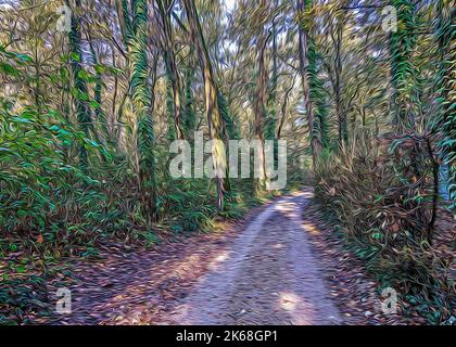 Route de terre de campagne à Lomellina pendant un automne humide Banque D'Images