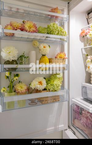 Réfrigérateur plein de différentes fleurs coupées Banque D'Images