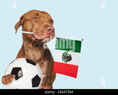 Chiot charmant et adorable, portant le drapeau national du Mexique et le ballon de football. Préparation de la coupe du monde. Gros plan, intérieur. Photo de studio. Concept de Banque D'Images