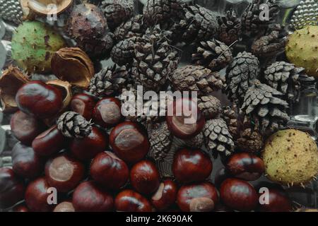 cône avec châtaignes sur plateau métallique de couleur marron Banque D'Images