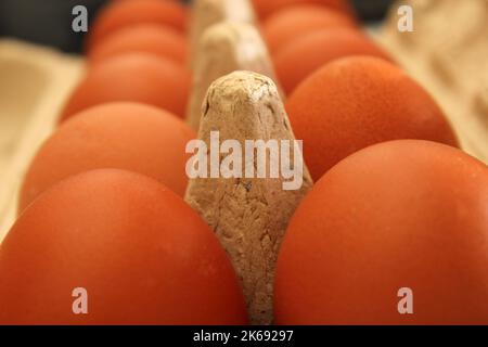 Gros plan sur les œufs de poulet dans un emballage en carton écologique. Concept d'alimentation saine. Concept d'écologie. Banque D'Images