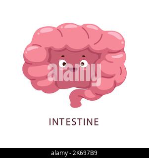 Caricature intestin corps humain caractère d'organe, anatomie vectorielle du système digestif. Bonne santé gros intestin personnage avec sourire drôle, visage heureux et côlon rose ou intestin, médecine emoji Illustration de Vecteur