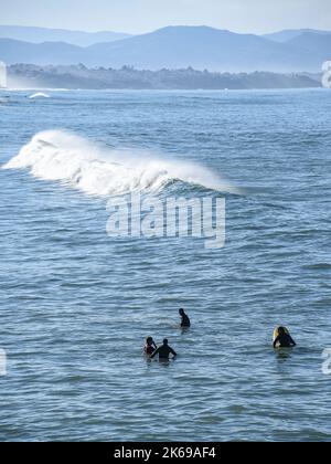 Biarritz, France - 15 janvier 2022 : surfeurs sur la plage de la Côte des Basques Banque D'Images