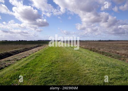 Marcher sur la promenade de Peter Scott, en suivant le haut de la rive de défense de la mer extérieure le long de Wash, Lincolnshire, East Midlands, Angleterre Banque D'Images