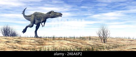 Dinosaure d'Alioramus marchant dans le désert de jour. Banque D'Images