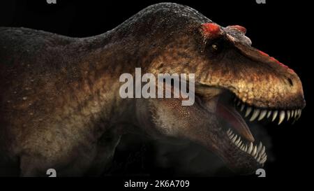 Tyrannosaurus rex, vue de profil. Banque D'Images