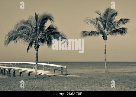 Une vue panoramique sereine sur le port de Charlotte d'un simple quai en bois et palmiers à Bokeelia, Floride, sur Pine Island, quintessence Old Flo Banque D'Images