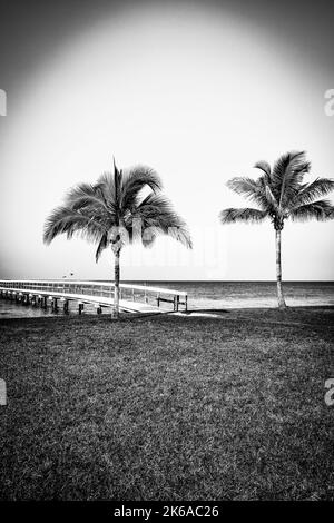 Une vue verticale sereine sur le port de Charlotte d'un quai en bois et des palmiers à Bokeelia, Floride, sur Pine Island, la quintessence de la vieille Floride Banque D'Images