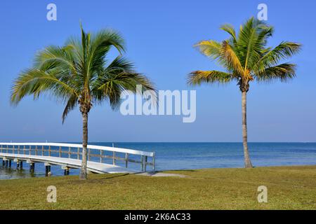 Une vue panoramique sereine sur le port de Charlotte d'un quai en bois et des palmiers à Bokeelia, Floride, sur Pine Island, la quintessence de la vieille Floride Banque D'Images